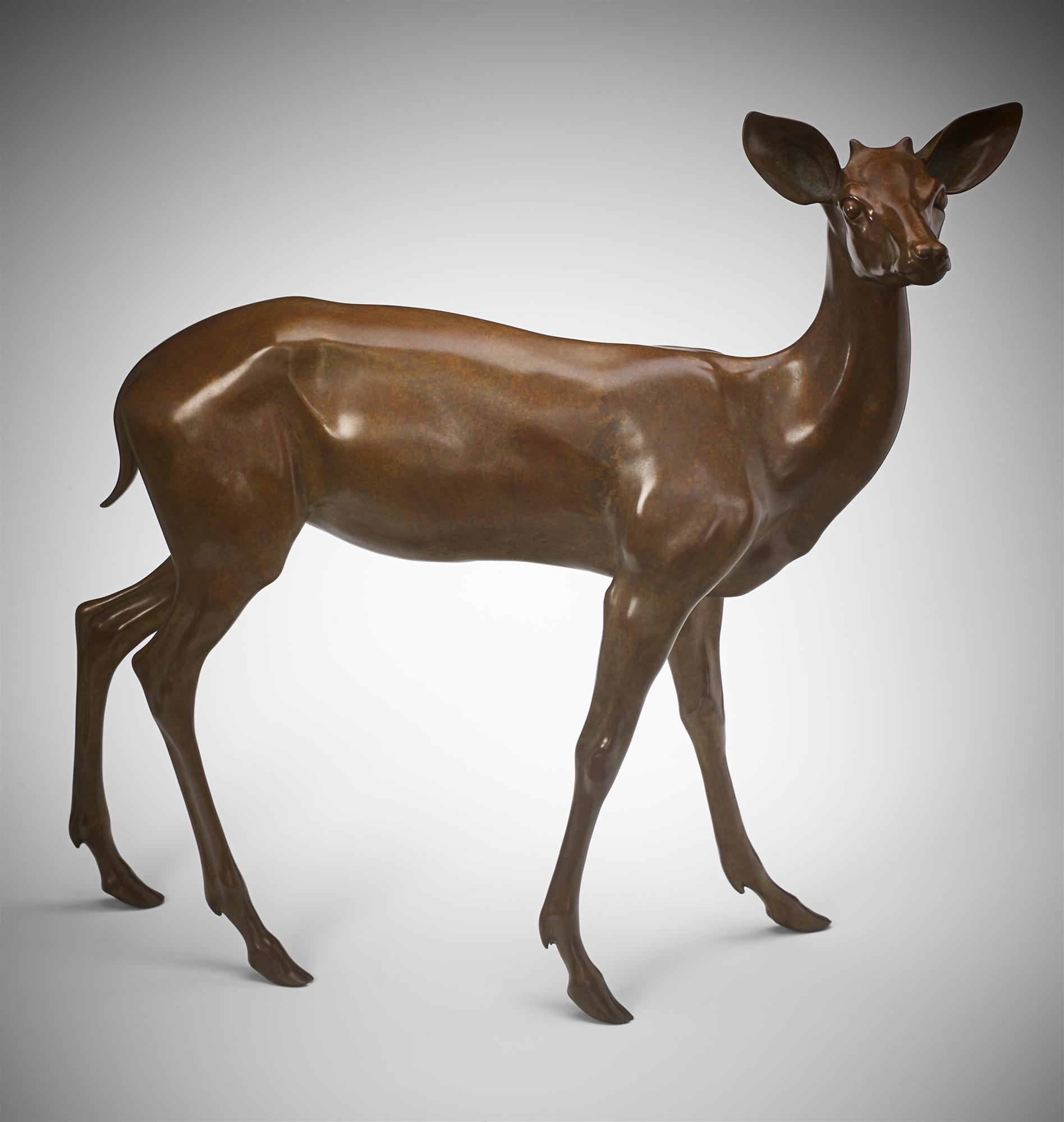 Jonathan Knight | Roe Deer