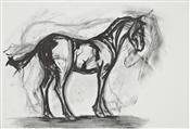 Pony Sketch, Joseph Paxton 