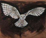 Barn Owl, Joseph Paxton 