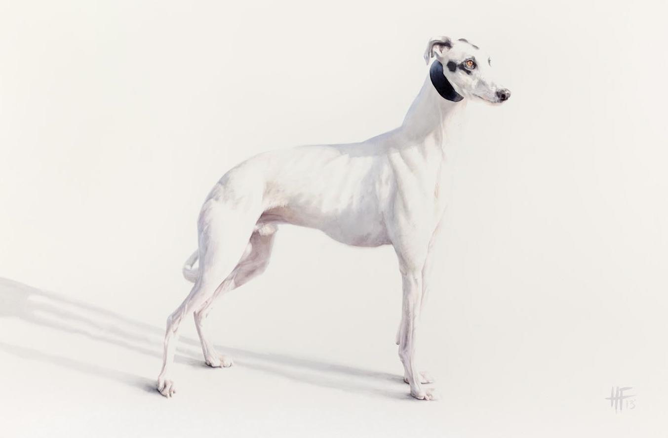 Peter Haslam Fox | Avalon Icon, Greyhound