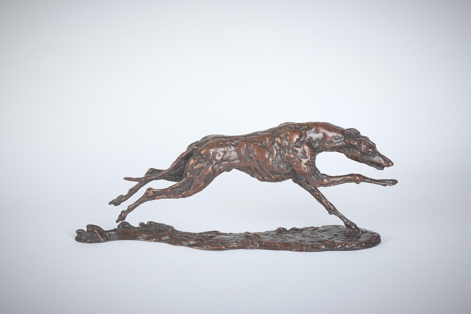 Lucy Kinsella | Stretched Greyhound
