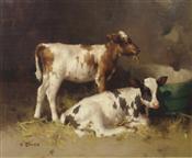 Ayreshire Calves by a Water Butt, David Gauld