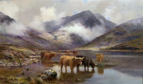 Louis Bosworth Hurt | Highland Cattle Watering