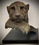 Cheetah Head, Lucy Kinsella