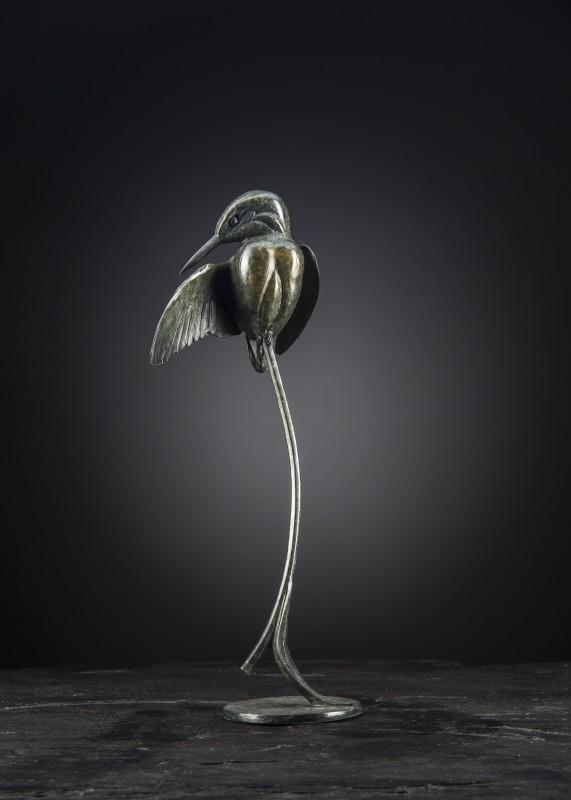 Ian Greensitt | Preening Kingfisher
