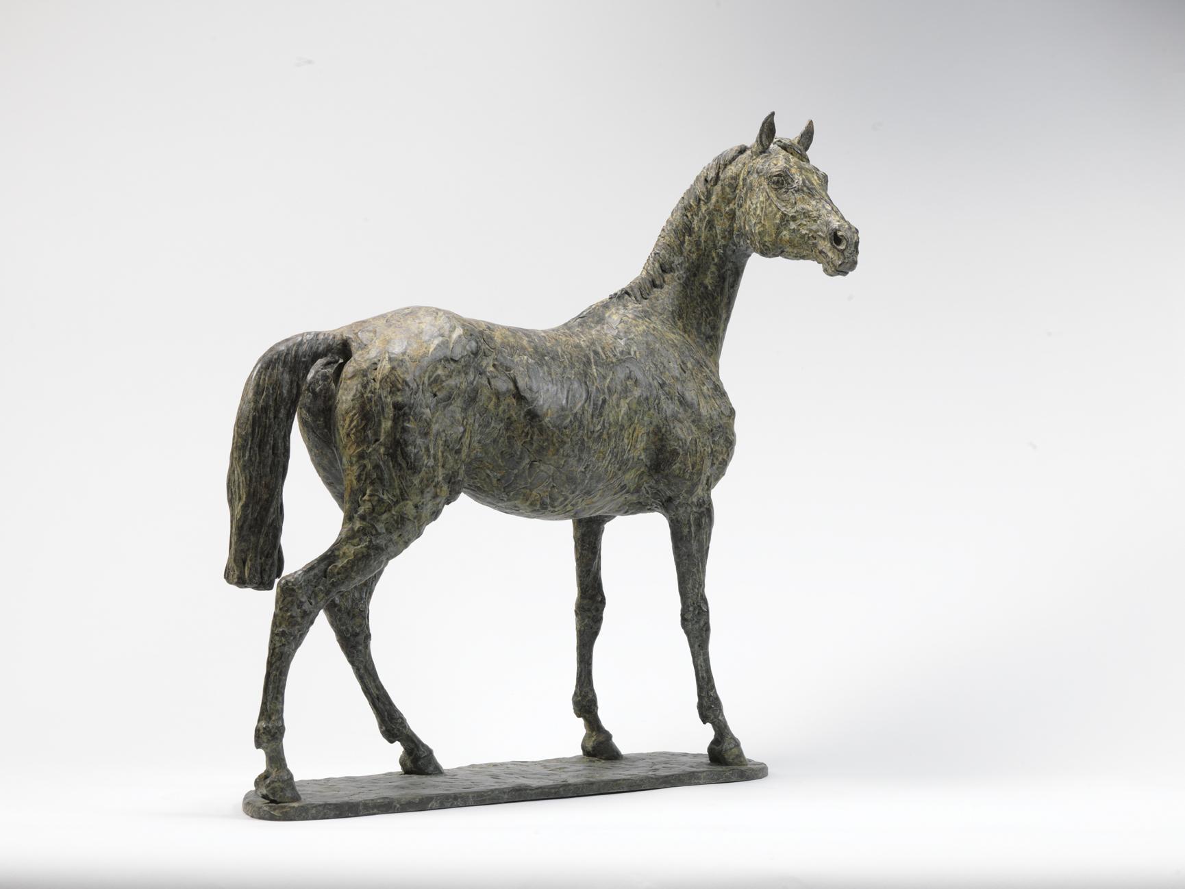 Julia Wager | Thoroughbred