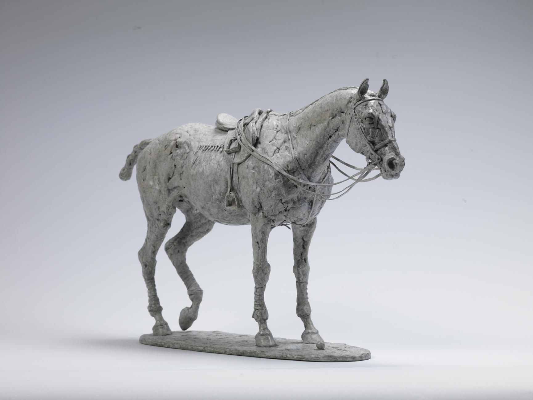 Julia Wager | The Maltese Cat
