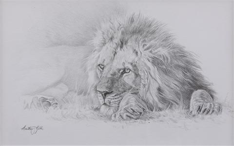 Anthony Gibbs | Eyes of Rest