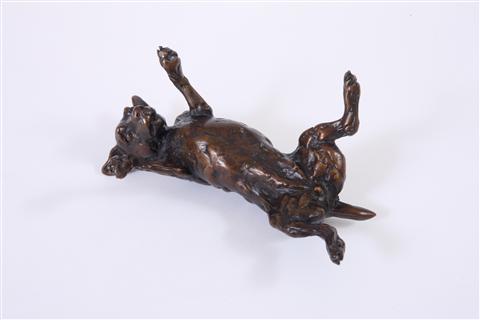 Lucy Kinsella | Rolling Terrier