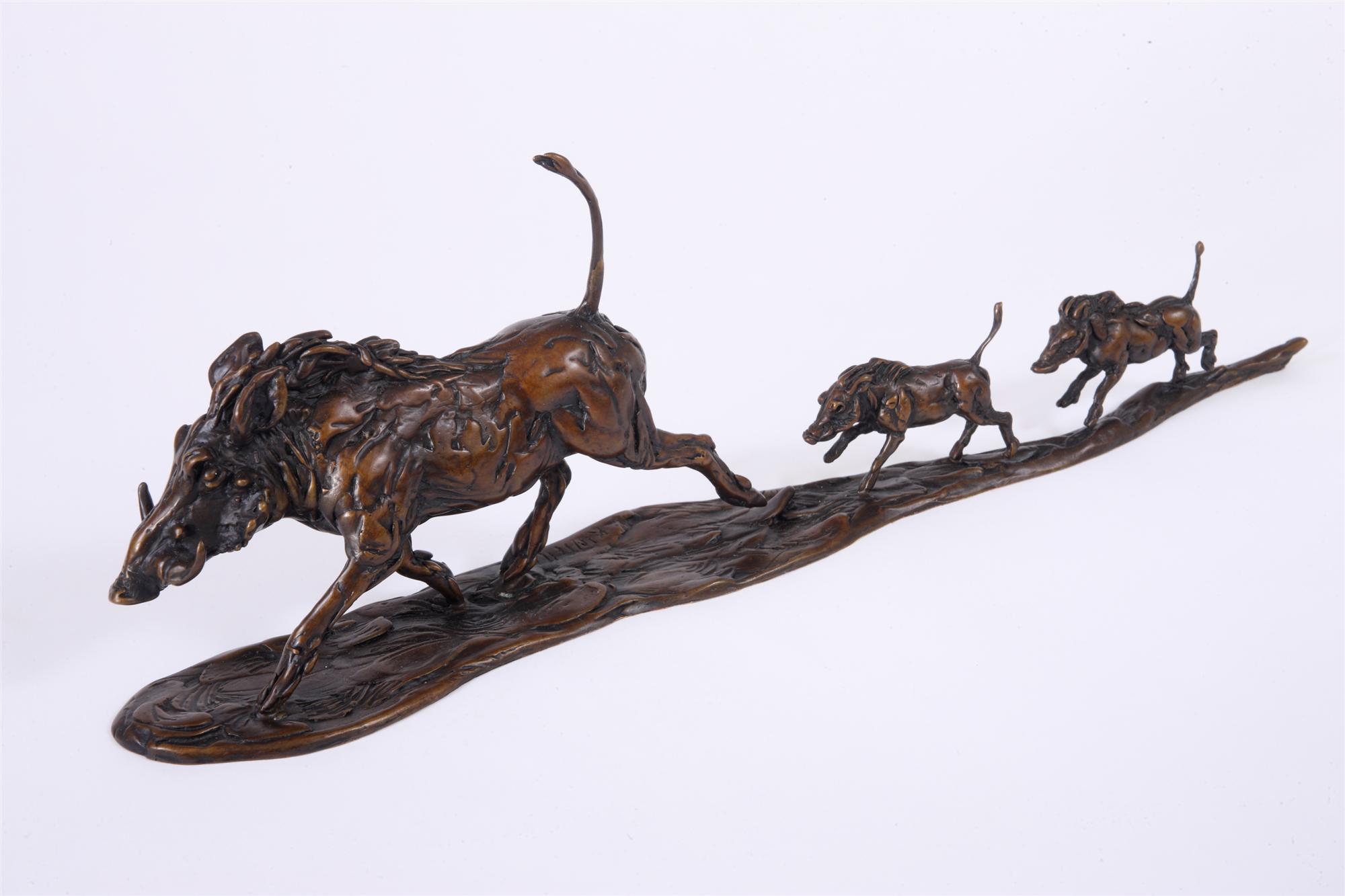 Lucy Kinsella | Warthog Family