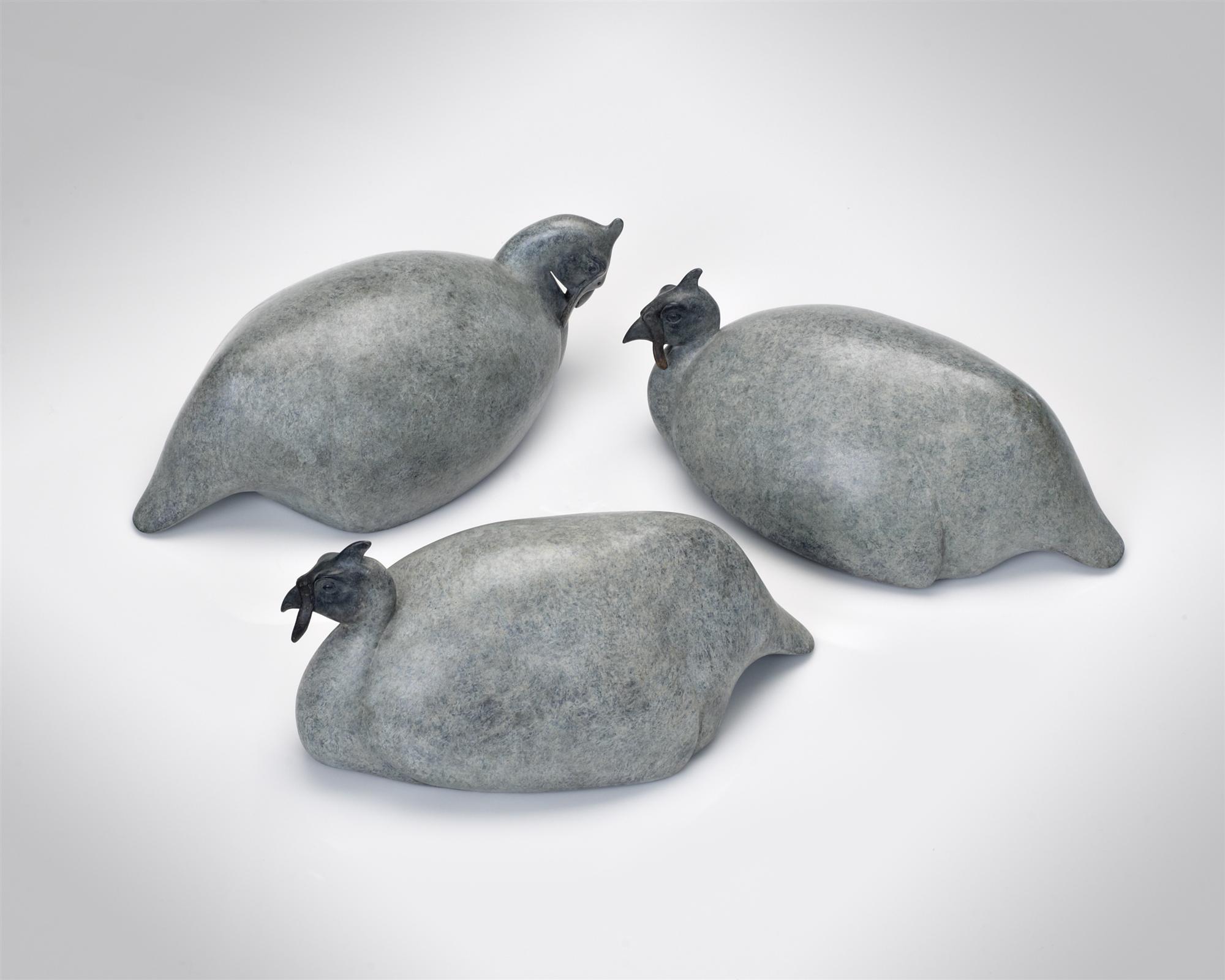 Jonathan Knight | Trio of Guineafowl