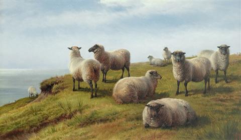 Charles Jones | Sussex Coast