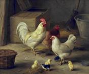Chickens & Chicks in Barn, Edgar Hunt