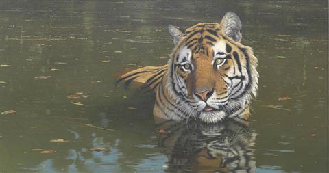 Anthony Gibbs | Cooling Off
