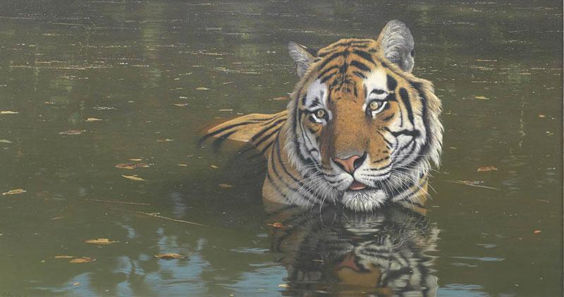 Anthony Gibbs | Cooling Off