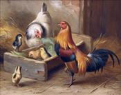 Chickens & Chicks, Edgar Hunt
