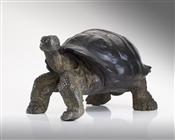 Tortoise, Jemma Pearson