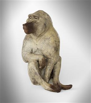 Lucy Kinsella | Seated Baboon