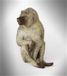 Seated Baboon, Lucy Kinsella