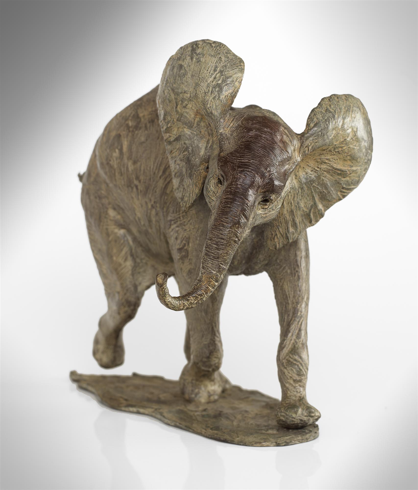Lucy Kinsella | Young Elephant
