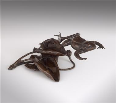 Lucy Kinsella | Frog on Lily