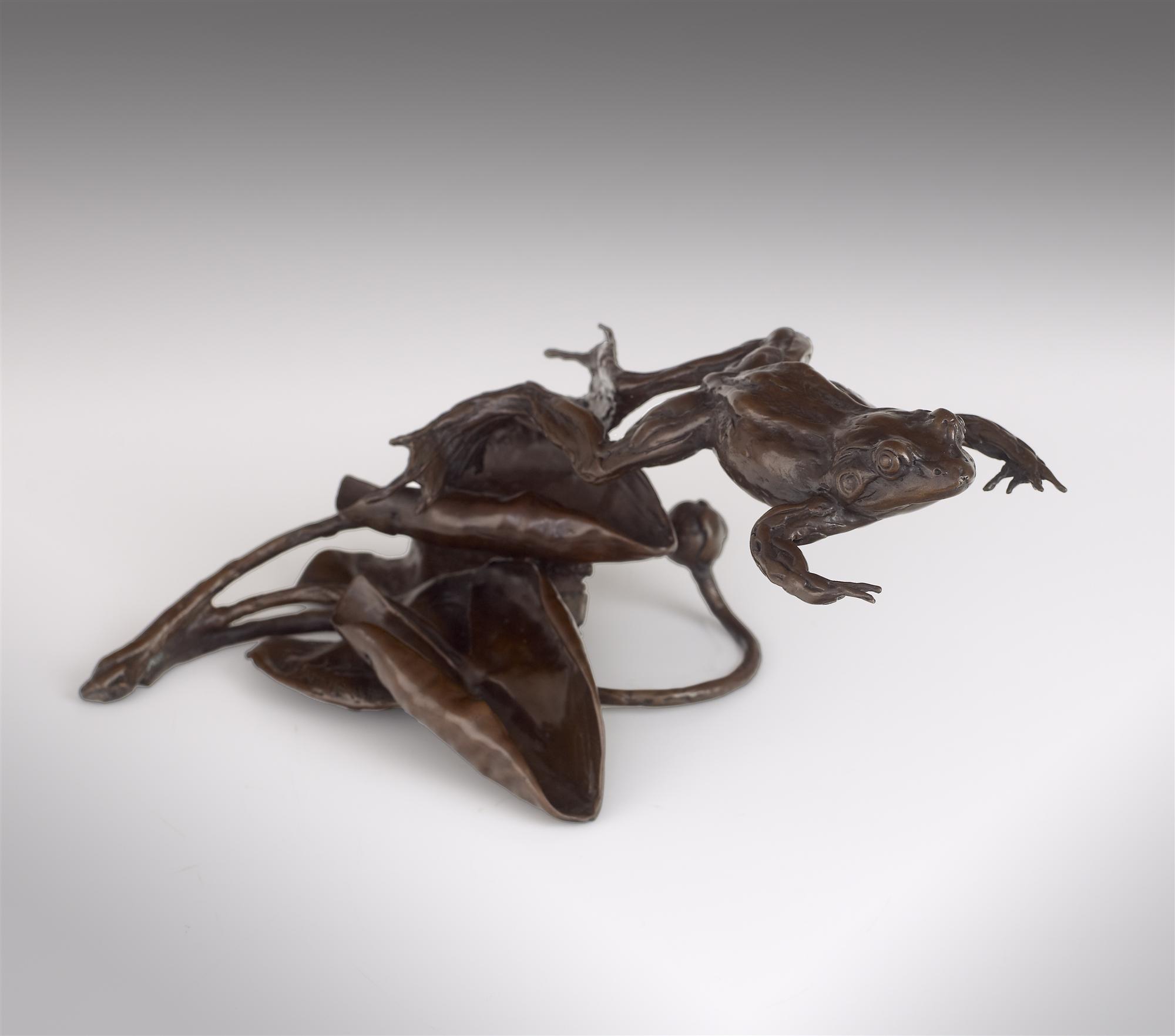 Lucy Kinsella | Frog on Lily