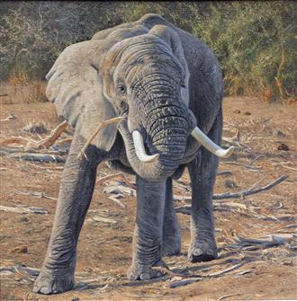 Anthony Gibbs | Evening Break
