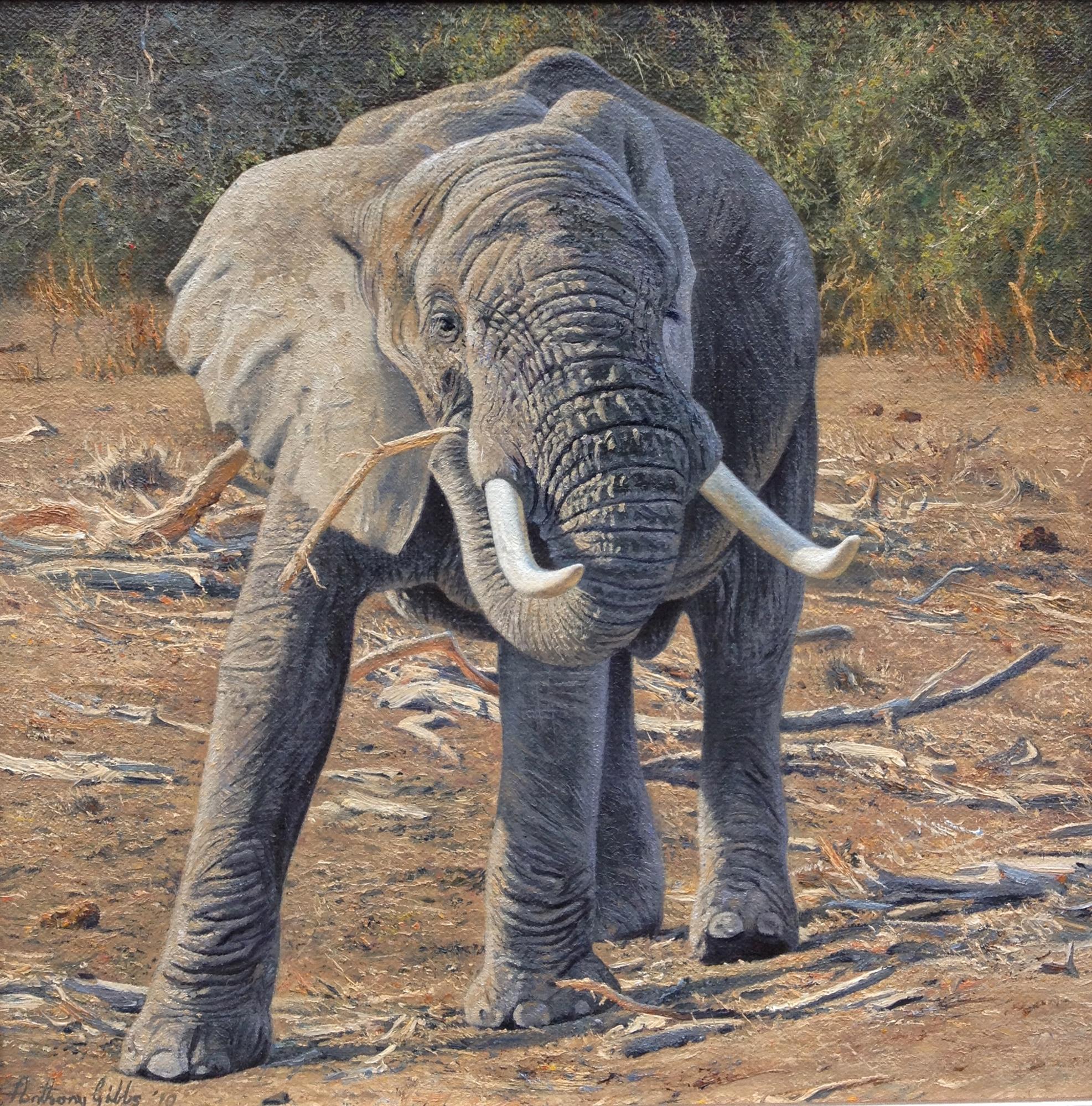 Anthony Gibbs | Evening Break