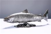 Silver Salmon, David Williams Ellis