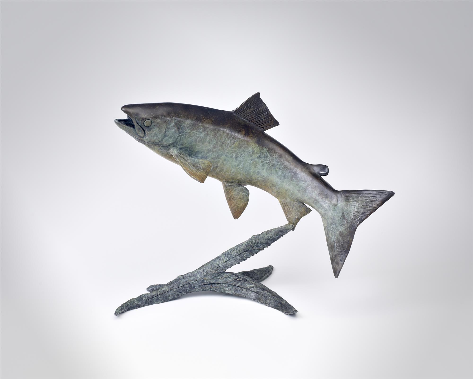 Ian Greensitt | Trout