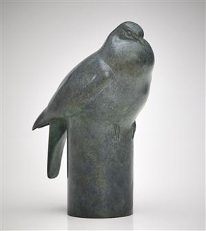 Jonathan Knight | Wood Pigeon