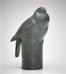 Wood Pigeon, Jonathan Knight