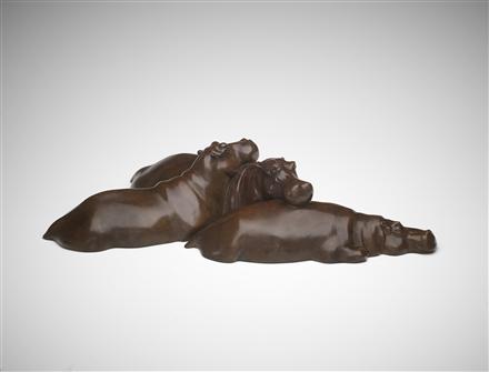 Jonathan Knight | Sleeping Hippos