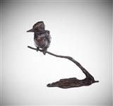 Kingfisher, Lucy Kinsella