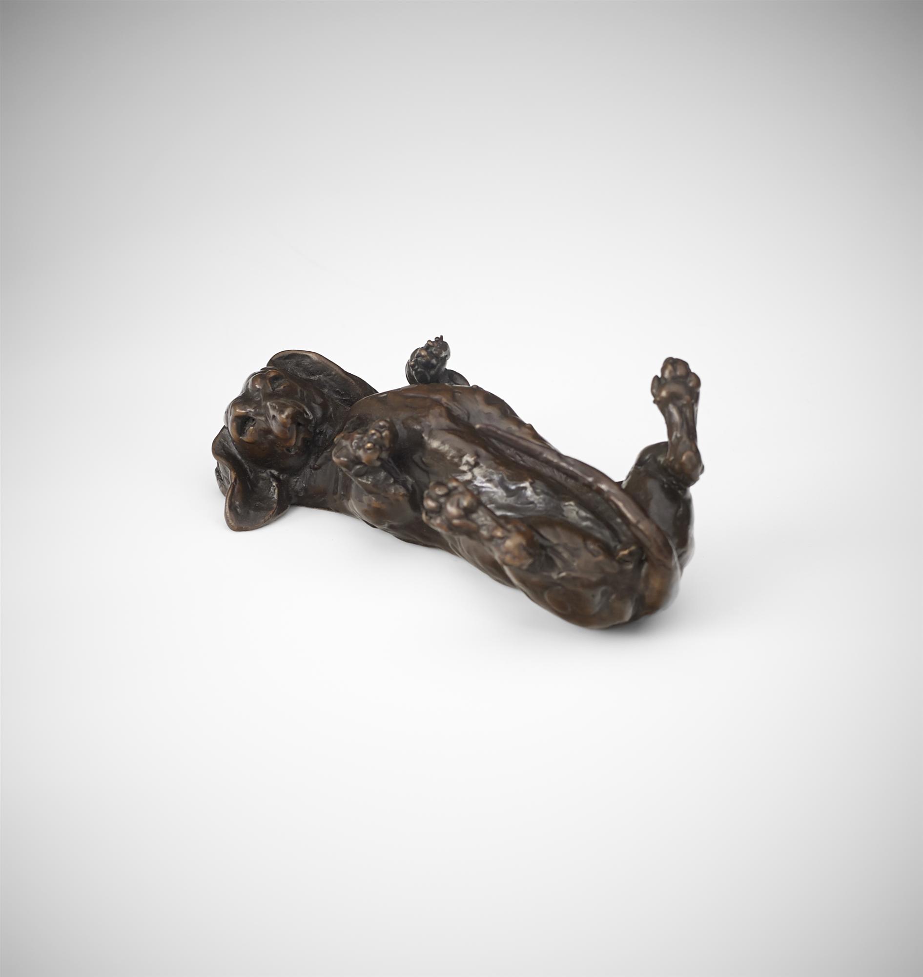 Lucy Kinsella | Rolling Daschund