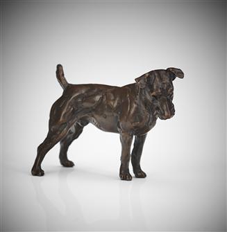 Lucy Kinsella | Patterdale Terrier