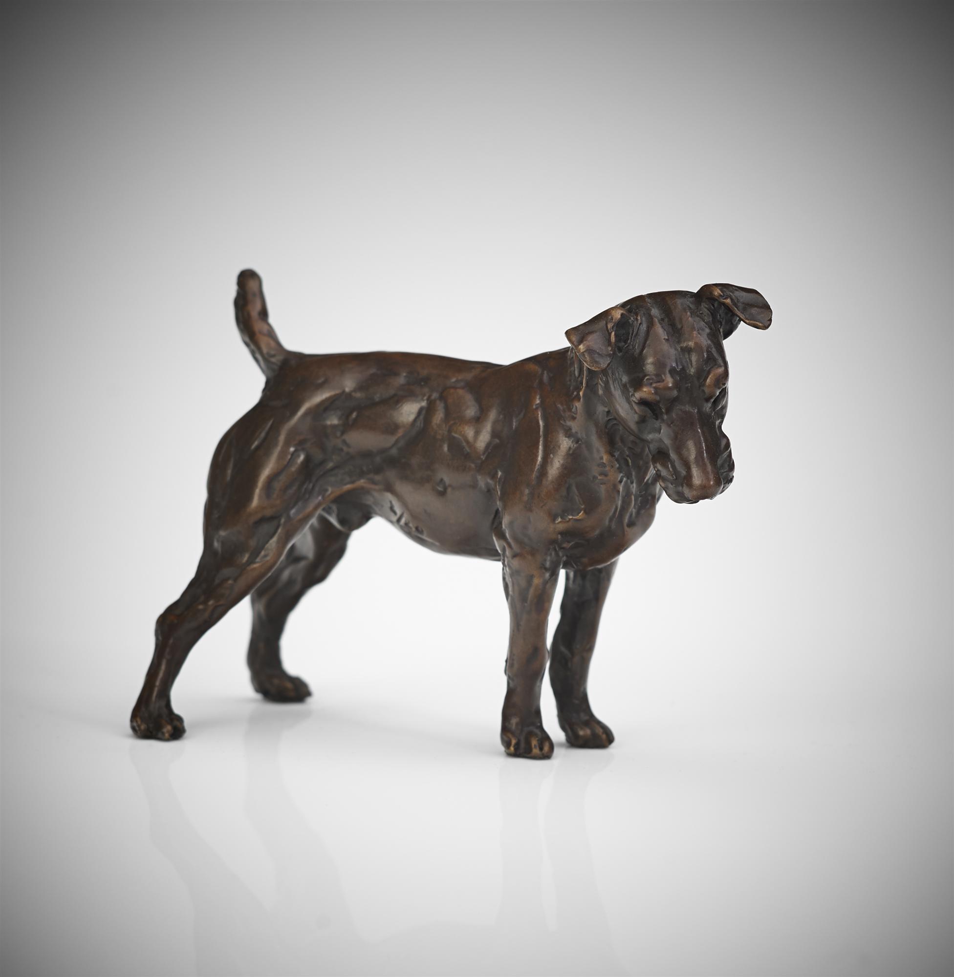 Lucy Kinsella | Patterdale Terrier