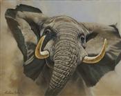 Tuskers Eye, Anthony Gibbs