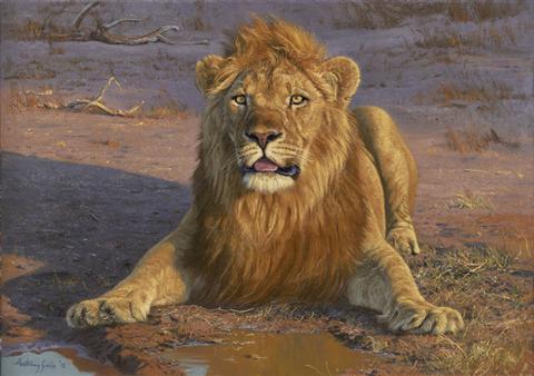Anthony Gibbs | Mane of Gold