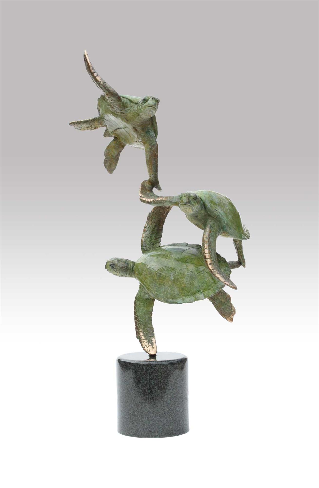 Stephen J Winterburn | Three Turtles