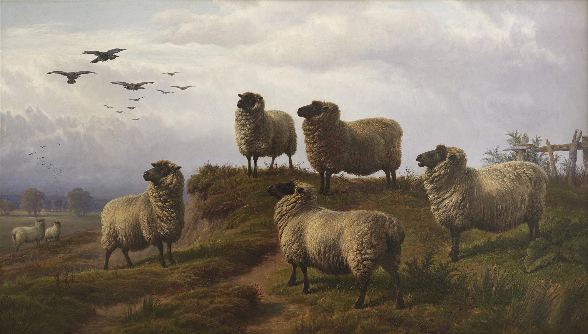 Charles Jones | Sheep in Landscape
