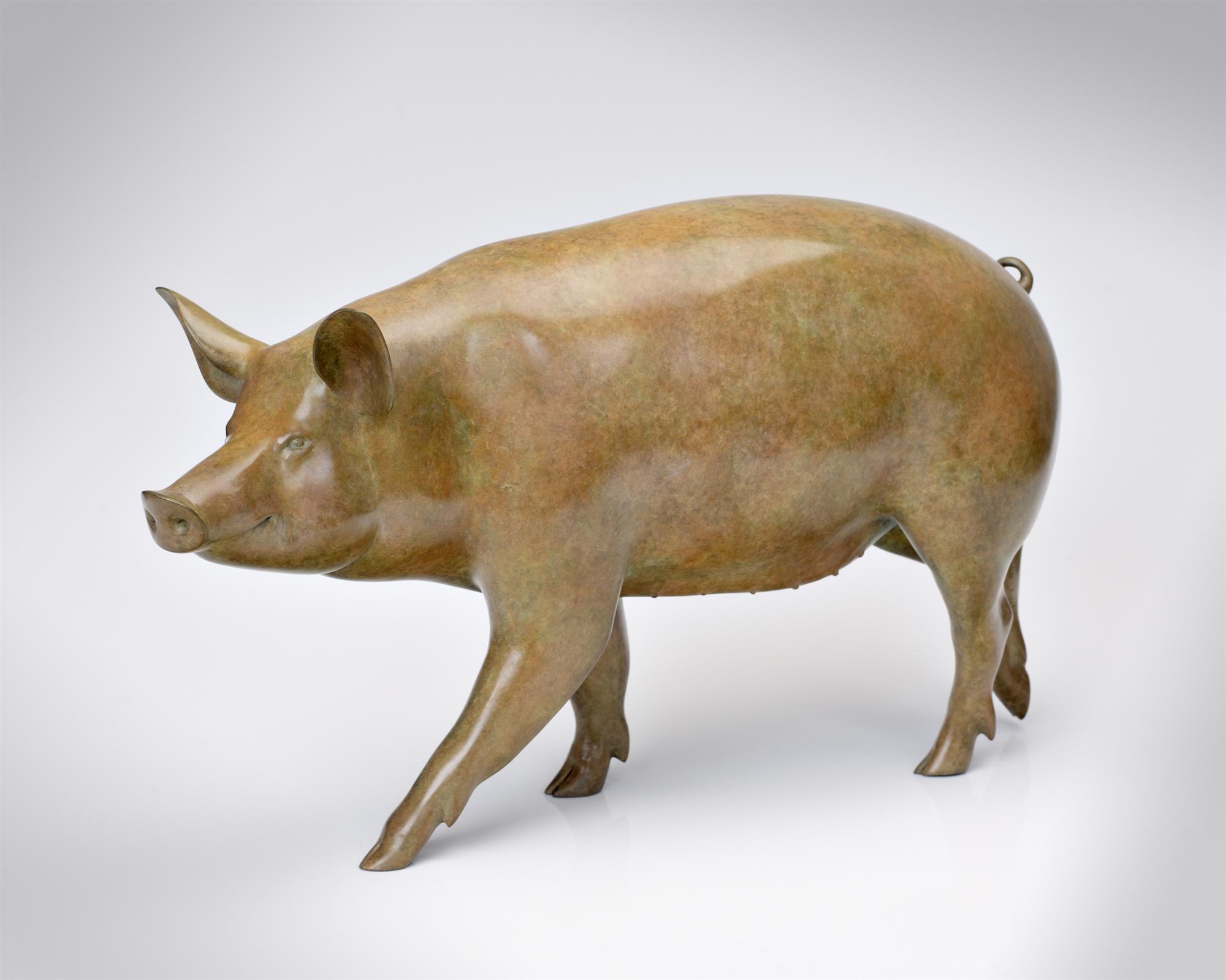Jonathan Knight | Tamworth Pig
