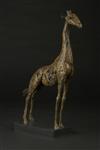 Giraffe, Joseph Paxton