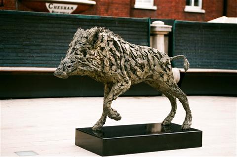 Joseph Paxton | Wild Boar