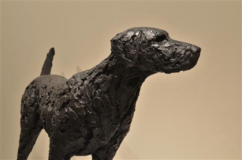 Joseph Paxton | Young Labrador