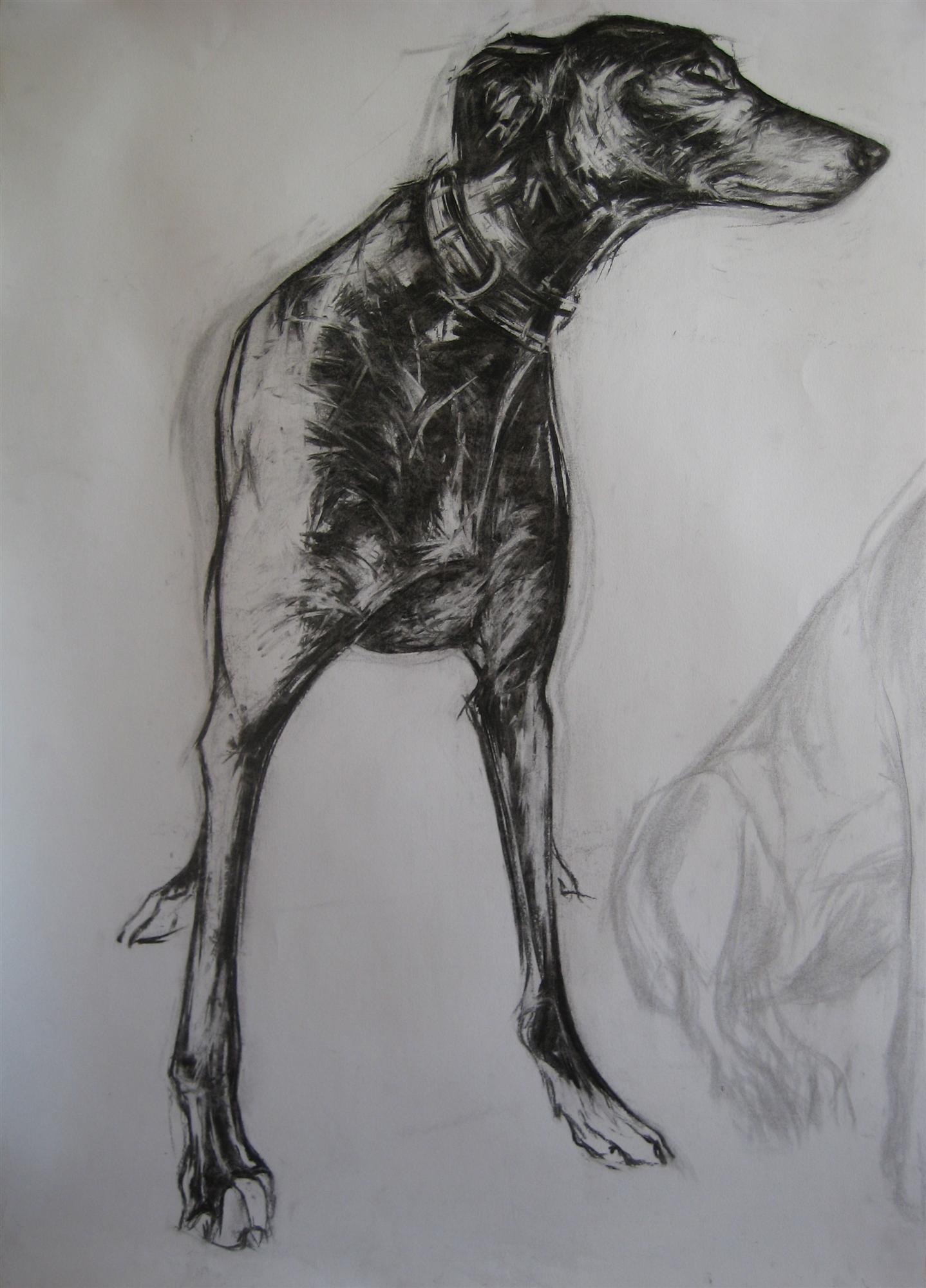 Joseph Paxton  | Greyhound