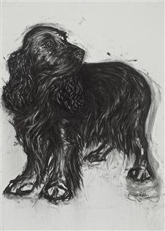 Joseph Paxton  | Cocker Spaniel