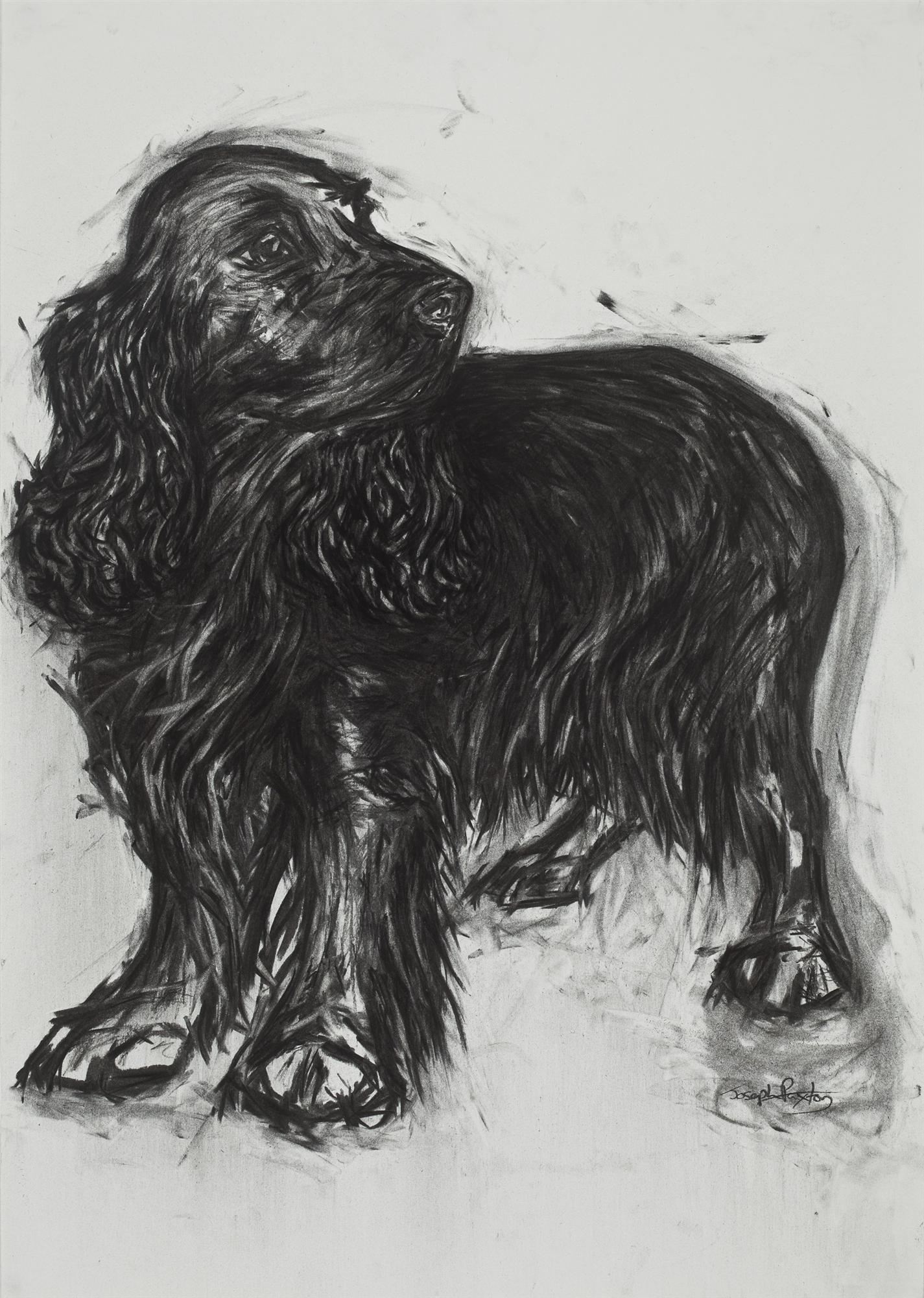 Joseph Paxton  | Cocker Spaniel