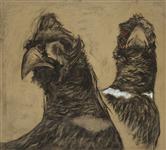 Two Pheasant Heads, Joseph Paxton 