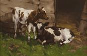 Calves outside the Byre, David Gauld